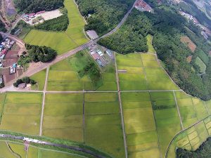 農振除外場　圃場整備された農地